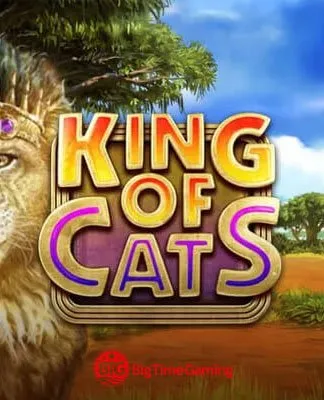 King of Cats - BTG