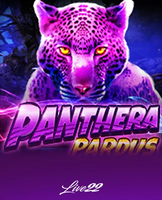 Panthera Pardus - LIVE22