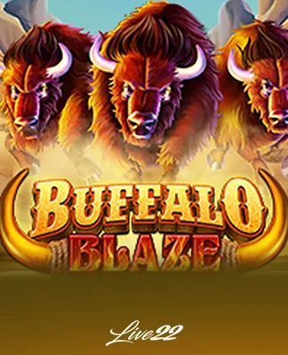 Buffalo Blaze - LIVE22