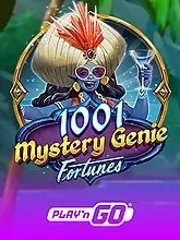 1001 Mystery Genie Fortunes - PLAYNGO
