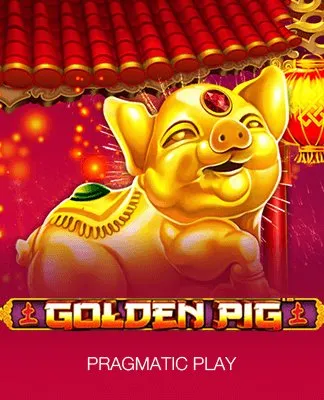 Golden Pig - PP