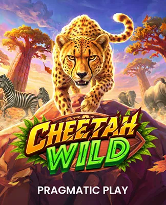 Cheetah Wild - PP
